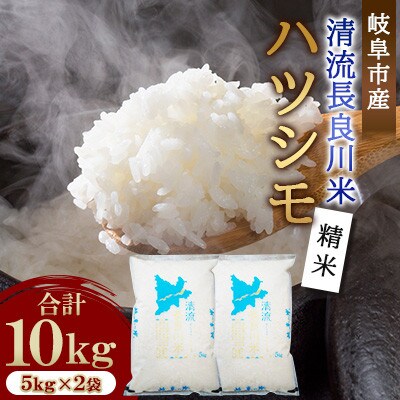岐阜市産 ハツシモ 清流長良川米 精米 10kg(5kg×2袋)