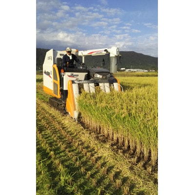 岐阜市産 ハツシモ 清流長良川米 精米 10kg(5kg×2袋)