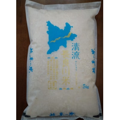 岐阜市産 ハツシモ 清流長良川米 精米 15kg(5kg×3袋)