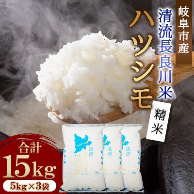岐阜市産 ハツシモ 清流長良川米 精米 15kg(5kg×3袋)