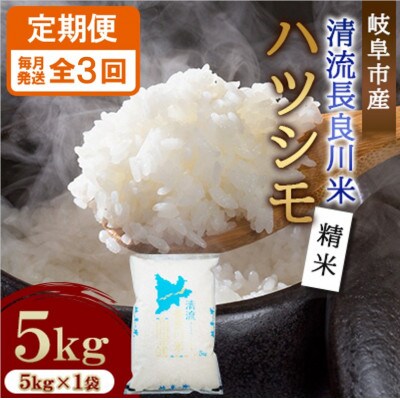 【毎月定期便】岐阜市産 ハツシモ 清流長良川米  精米 5kg 全3回