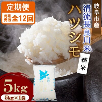 【毎月定期便】岐阜市産 ハツシモ 清流長良川米  精米 5kg 全12回
