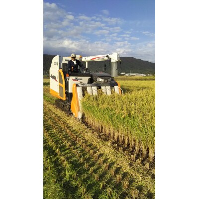 【毎月定期便】岐阜市産 ハツシモ 清流長良川米 精米 10kg(5kg×2袋)　全3回