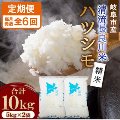 【毎月定期便】岐阜市産 ハツシモ 清流長良川米 精米 10kg(5kg×2袋)　全6回