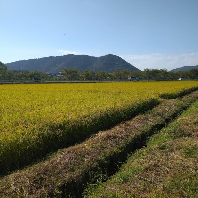 【毎月定期便】岐阜市産 ハツシモ 清流長良川米 精米 10kg(5kg×2袋)　全6回