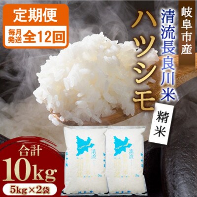 【毎月定期便】岐阜市産 ハツシモ 清流長良川米 精米 10kg(5kg×2袋)　全12回