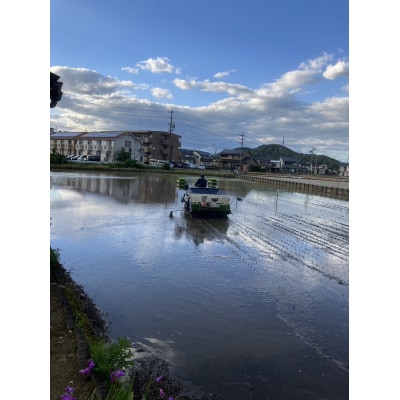 【毎月定期便】岐阜市産 ハツシモ 清流長良川米 精米 15kg(5kg×3袋)　全12回