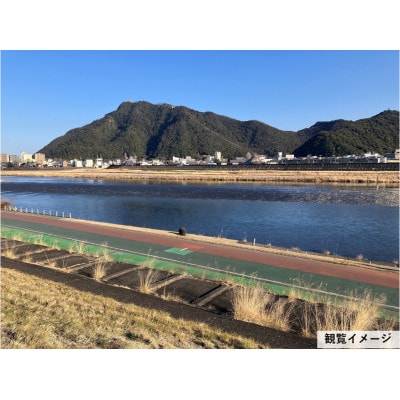 第4回ぎふ長良川花火大会応援席チケット　自由席・視界良好堤防道路A席(1名様用×1枚)