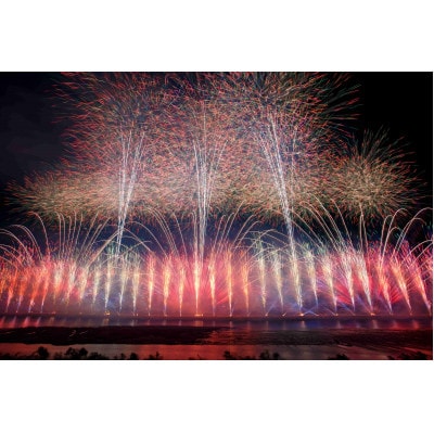 第4回ぎふ長良川花火大会応援席チケット　指定席・2列目以降A席(1名様用×1枚)