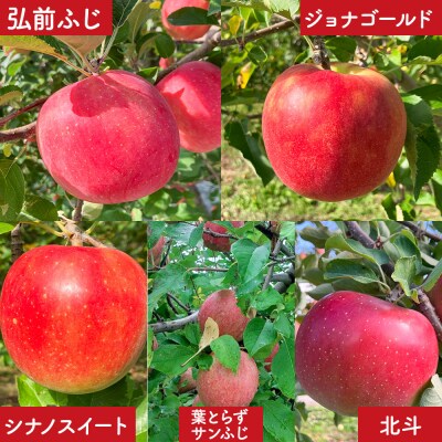 りんご 家庭用 品種おまかせ詰め合せ 約5kg (16～20玉程度)  |24_mre-050501