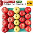 りんご 訳あり 品種おまかせ詰め合せ 約5kg(16～20玉程度)|24_mre-060501