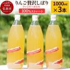 りんご贅沢しぼり ファミリーボトル 1000ml×3本入 ストレート|24_mrh-010301