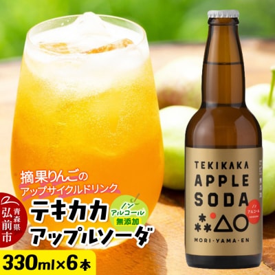 テキカカアップルソーダ 330ml×6本|24_mye-100601