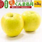 りんご【訳あり】ぐんま名月 約3kg 糖度13度以上(糖度証明書付)|24_ntr-010301