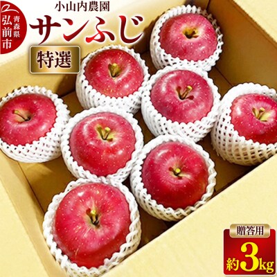 りんご 小山内農園【特選】サンふじ 贈答用 約3kg|24_osn-020301