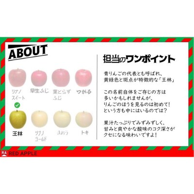 【25年12月発送】りんご 13度糖度保証【贈答用】王林 約2.5kg|24_rap-030201