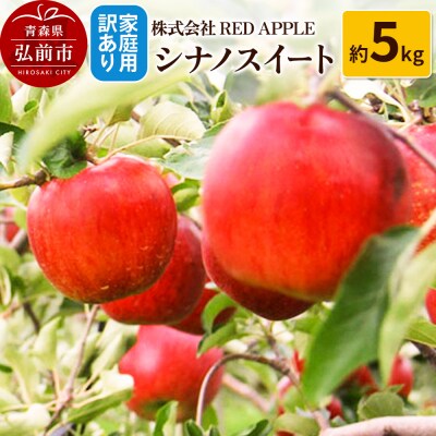 【25年10月～発送】りんご【訳あり】家庭用 シナノスイート 約5kg|24_rap-140501