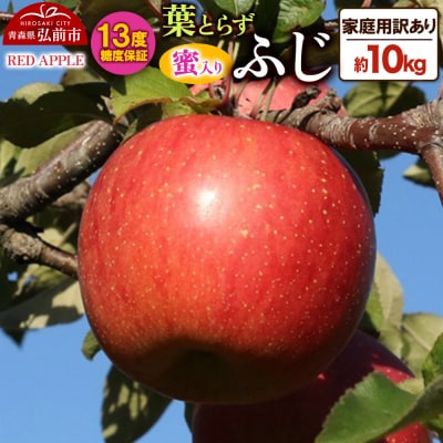 りんご 蜜入り 13度糖度保証【訳あり】家庭用 葉とらずふじ 約10kg|24_rap-161001