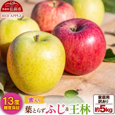りんご 13度糖度保証【訳あり】蜜入り 葉とらずふじ&王林 約5kg|24_rap-180501