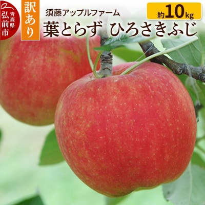 りんご【訳あり】家庭用 ひろさきふじ 約10kg(葉とらず)|24_saf-021001