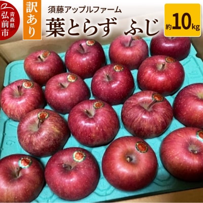 りんご【訳あり】家庭用 葉とらず ふじ 約10kg|24_saf-061001