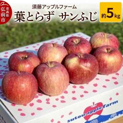 りんご 葉とらず サンふじ 約5kg|24_saf-070501