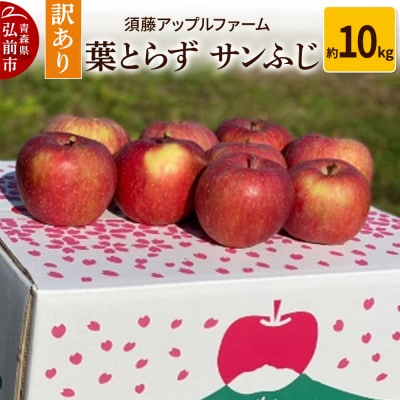 りんご【訳あり】家庭用 葉とらず サンふじ 約10kg|24_saf-081001