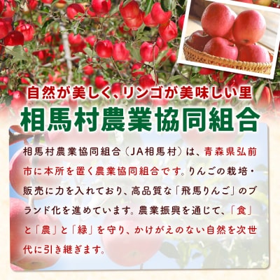 りんご(飛馬ふじ)・無添加飛馬ふじジュース・ふじジャム 詰め合わせ|24_snk-030101
