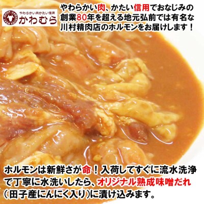 【数量限定】お肉屋さんの味付け豚生ホルモン 4kg盛り(1kg×4袋)|24_tns-120401