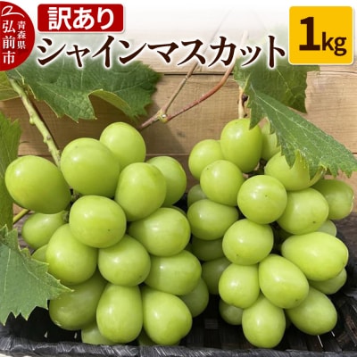 【訳あり】 シャインマスカット1kg ぶどう フルーツ 果物 |24_tvf-010101