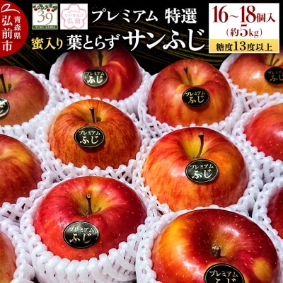 りんご糖度13度以上 プレミアム 蜜入り 葉とらずサンふじ 約5kg|24_yuk-090501