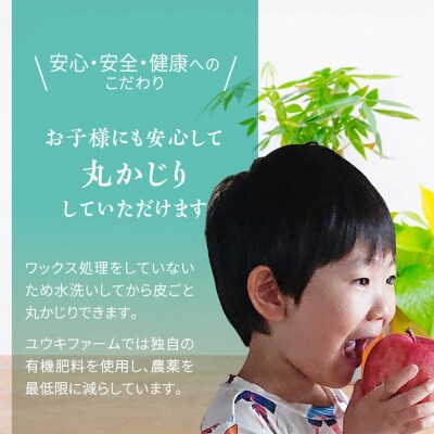 ユウキファーム 超完熟 りんごジュース 500ml × 1本|24_yuk-140101