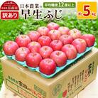 りんご  早生ふじ 約5kg 訳あり|24_nng-040501a