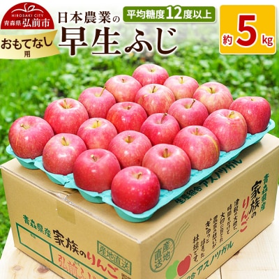 りんご  早生ふじ 約5kg おもてなし用|24_nng-040501b