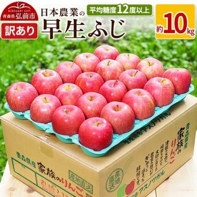 りんご  早生ふじ 約10kg 訳あり|24_nng-041001a