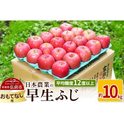 りんご  早生ふじ 約10kg おもてなし用|24_nng-041001b