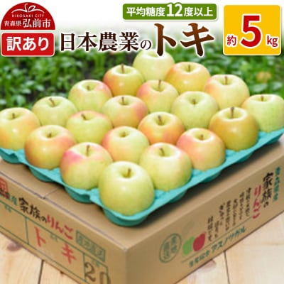 りんご  トキ 約5kg 訳あり|24_nng-060501a
