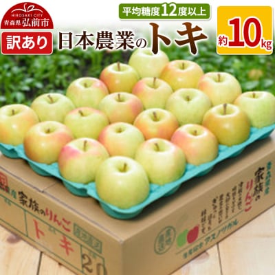りんご  トキ 約10kg 訳あり|24_nng-061001a
