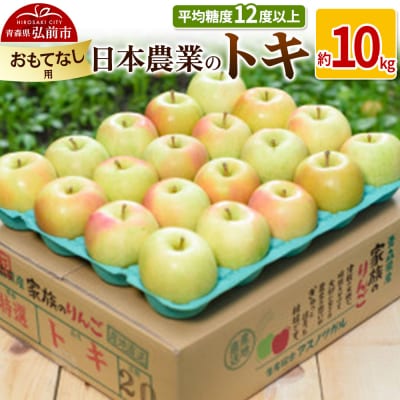 りんご  トキ 約10kg おもてなし用|24_nng-061001b