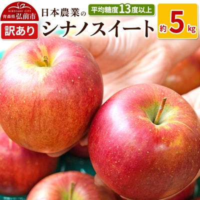 りんご  シナノスイート 約5kg 訳あり|24_nng-070501a