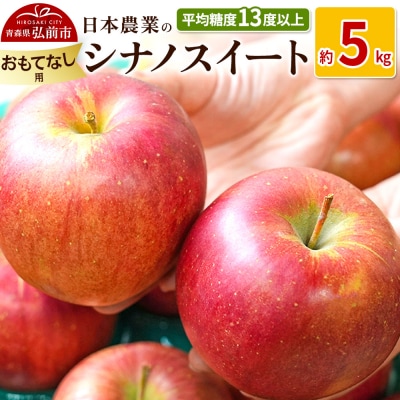 りんご  シナノスイート 約5kg おもてなし用|24_nng-070501b