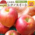 りんご  シナノスイート 約10kg おもてなし用|24_nng-071001b