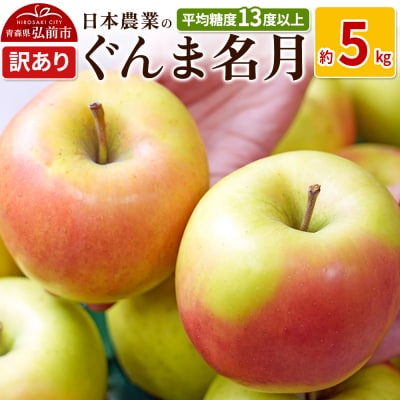りんご  ぐんま名月 約5kg 訳あり|24_nng-090501a