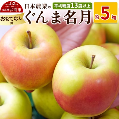 りんご  ぐんま名月 約5kg おもてなし用|24_nng-090501b