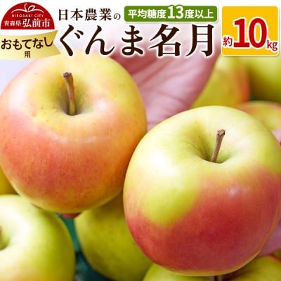 りんご  ぐんま名月 約10kg おもてなし用|24_nng-091001b
