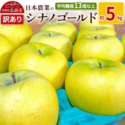 りんご  シナノゴールド 約5kg 訳あり|24_nng-100501a