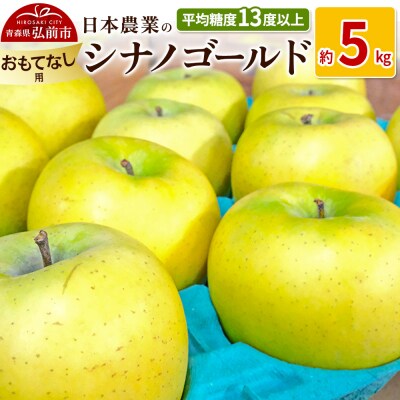 りんご  シナノゴールド 約5kg おもてなし用|24_nng-100501b