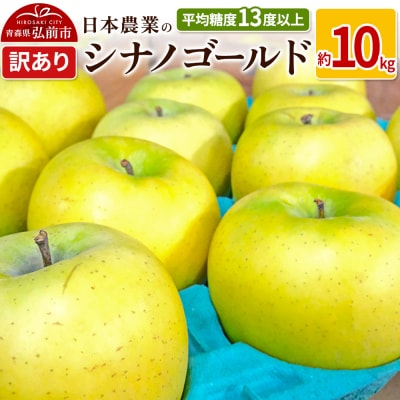 りんご  シナノゴールド 約10kg 訳あり|24_nng-101001a