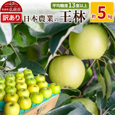 りんご  王林 約5kg 訳あり|24_nng-110501a