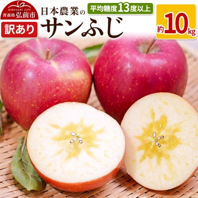 りんご  サンふじ 約10kg 訳あり|24_nng-121001a